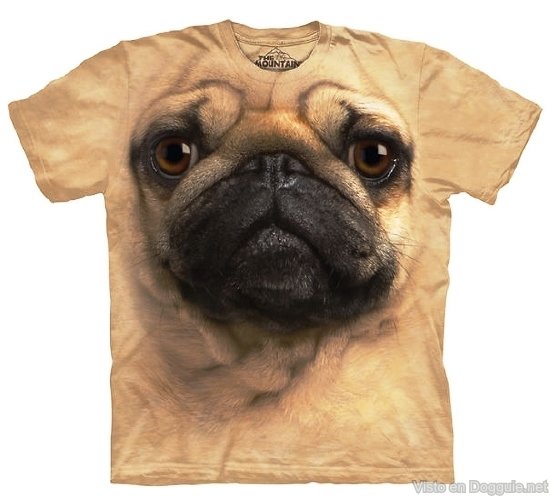 camisetas carteles curiosos