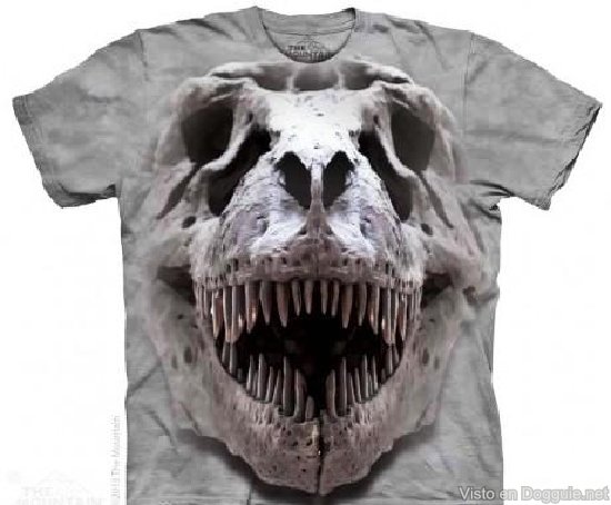 camisetas carteles curiosos