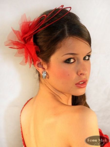 accesorios de moda para el cabello