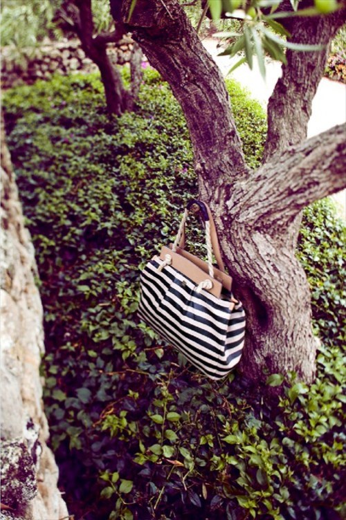 hoss intropia bolsos primavera verano
