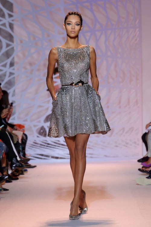 zuhair murad haute 2014
