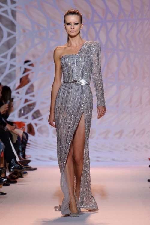 zuhair murad haute 2014