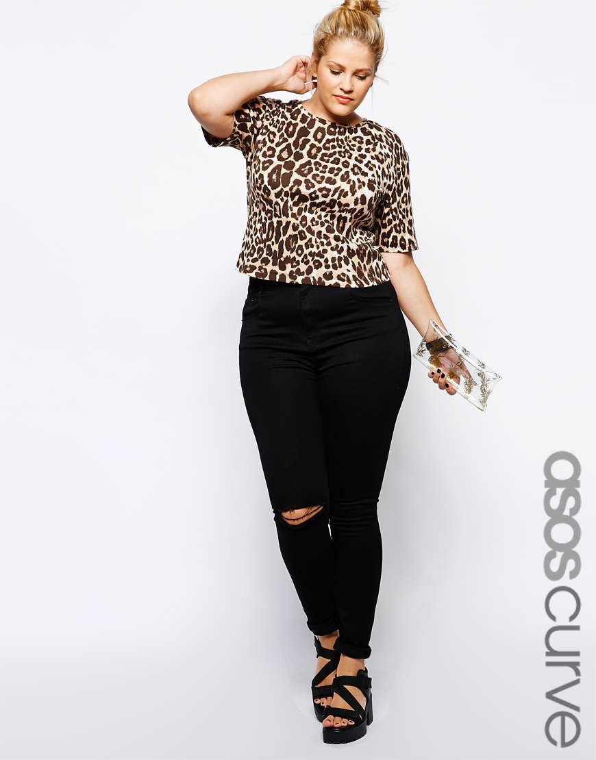 elegancia-y-gorditas1