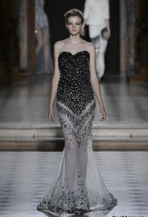 tony ward